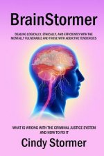 Brainstormer: What is wrong with the criminal justice system and how to fix it (Dealing logically, ethically, and efficiently with t
