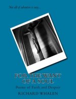 For The Want of A Soul: Poems of Faith and Despair