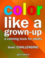 Color Like a Grown-up -- Challenging: A Coloring Book for Adults