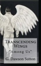 Transcending Wings: 
