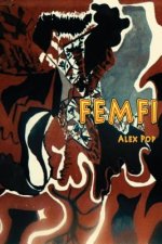 Femfi: A Novel about Love, Music and the Hippies.
