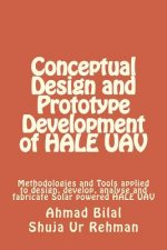 Conceptual Design and Prototype Development of HALE UAV