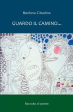 Guardo il camino...: Poesie