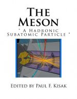 The Meson: 