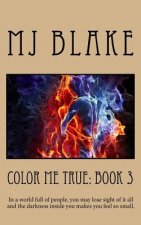 Color Me True: Book 3: In a world full of people, you may lose sight of it all and the darkness inside you makes you feel so small.