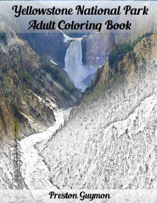 Yellowstone National Park Adult Coloring Book