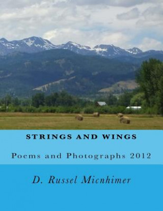 Strings and Wings