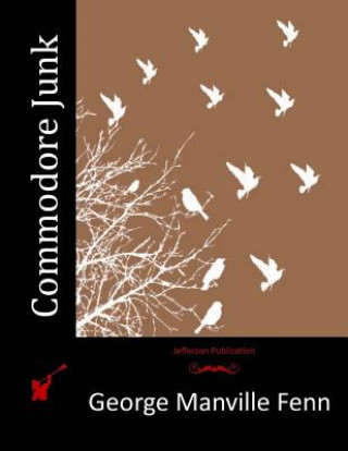 Commodore Junk