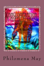 Conglomeration: A Poetic Fly Past