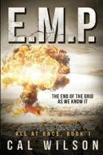 E.M.P.: The End Of The Grid As We Know It