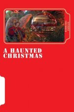 A haunted christmas: haunted