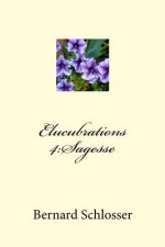 Elucubrations 4: Sagesse