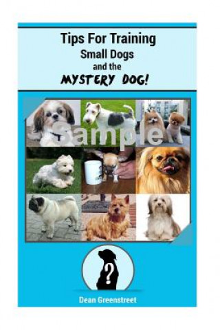 Tips For Training Small Dogs!