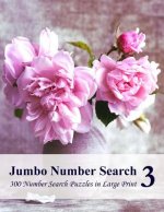 Jumbo Number Search 3: 300 Number Search Puzzles in Large Print