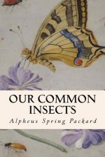 Our Common Insects