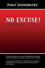 NO EXCUSE! in business