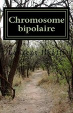Chromosome bipolaire