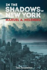 In The Shadows of New York