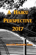 A Haiku Perspective 2017