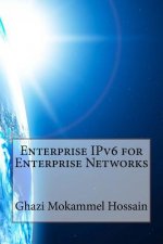 Enterprise IPv6 for Enterprise Networks