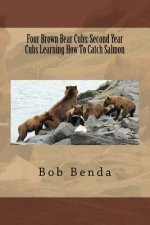 Four Brown Bear Cubs: Second Year Cubs Learning How To Catch Salmon