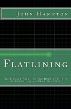 Flatlining: The Danger Posed to the Body of Christ by Church-as-a-Thing-in-Itself