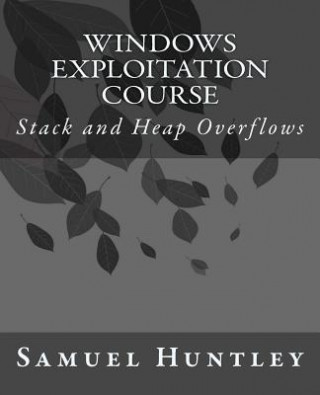 Windows Exploitation Course: Stack and Heap Overflows