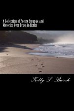 A Collection of Poetry Struggle and Victories Over Drug Addiction