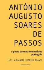 António Augusto Soares de Passos: o poeta do ultra-romantismo portugu?s