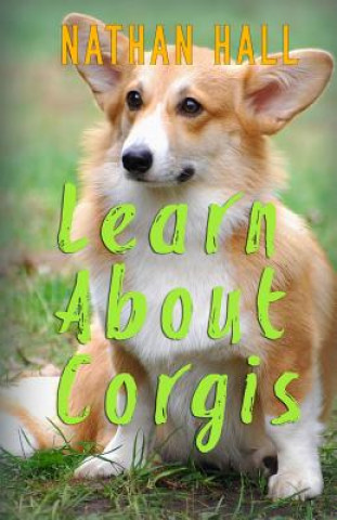 Learn About Corgis