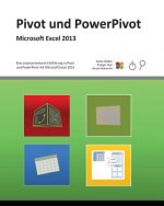 Pivot und PowerPivot: Praxis-Handbuch zu Pivot und PowerPivot für Microsoft Excel 2013