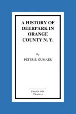 A History Of Deerpark In Orange County, N. Y. by Peter E. Gumaer