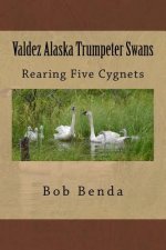 Valdez Alaska Trumpeter Swans: Rearing Five Cygnets
