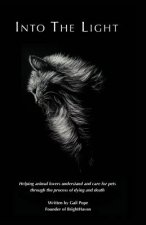 Into the Light: Helping animal lovers understand and care for pets through the process of dying and death