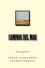 caminos del mar: coleccion poetica