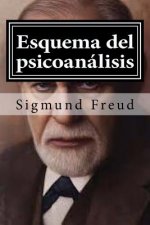 Esquema del psicoanalisis: y otros escritos de doctrina psicoanalitica