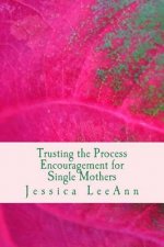 Trusting the Process: Encouragement for Single Mothers