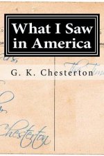 What I Saw in America