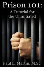 Prison 101: A Tutorial for the Uninitiated
