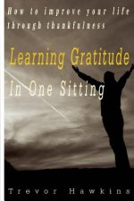 Gratitude & Thankfulness Course In One Sitting: Fundamentals Of Gratitude & Its Rewards