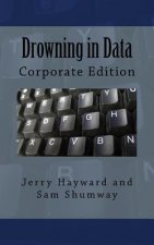 Drowning in Data: Corporate Edition