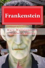 Frankenstein: Frankenstein by Mary Wollstonecraft (Godwin) Shelley