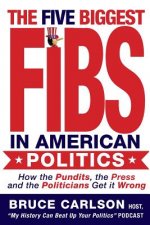 The Five Biggest Fibs in American Politics: How Pundits, Experts, Partisans and Others are Getting it Wrong