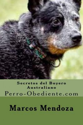 Secretos del Boyero Australiano: Perro-Obediente.com