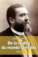 De la réalité du monde sensible