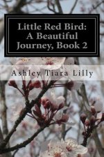 Little Red Bird: A Beautiful Journey, Book 2