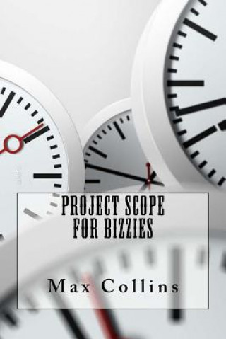 Project Scope For Bizzies