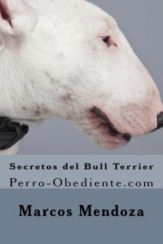 Secretos del Bull Terrier: Perro-Obediente.com