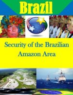 Security of the Brazilian Amazon Area