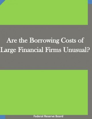 Are the Borrowing Costs of Large Financial Firms Unusual?